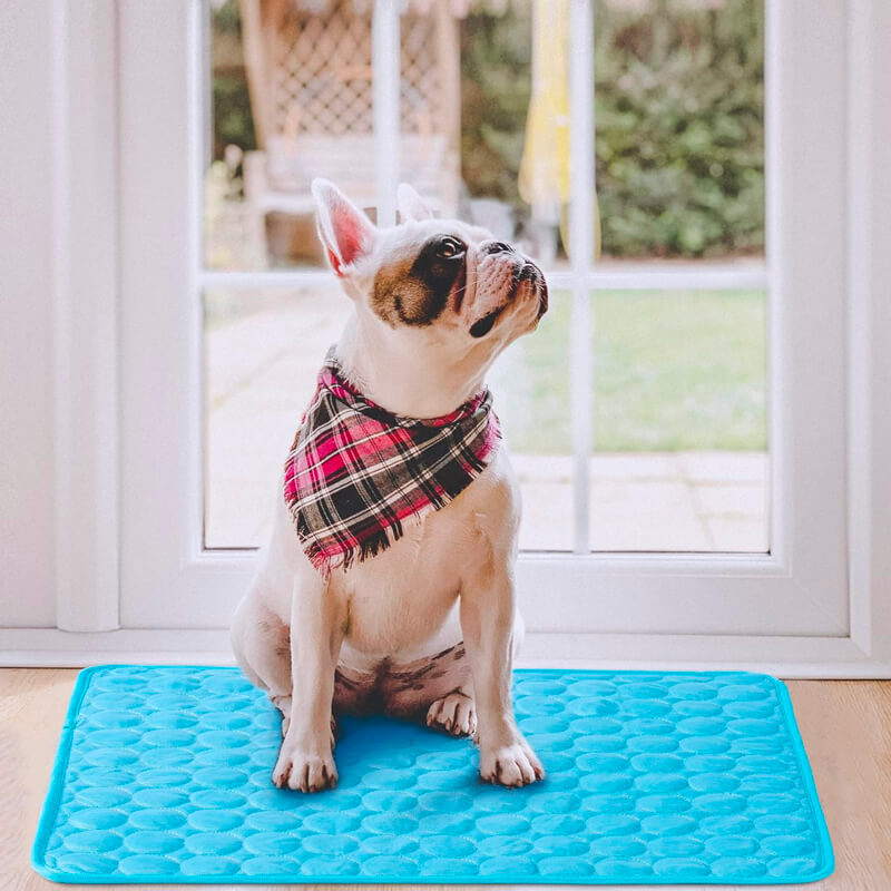Cooling pad – PetCool Pad 100x70 cm