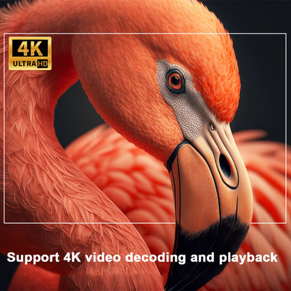 Portable Home Theater Projector™